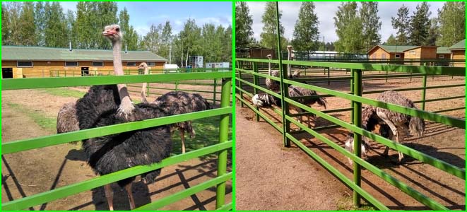 Vinaora Nivo Slider 3.x